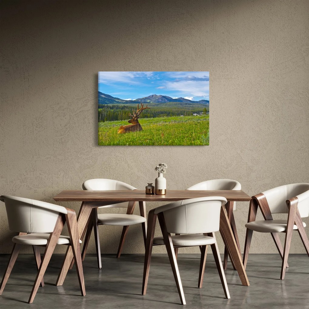 Kép - Szarvas a réten (90x60 cm)