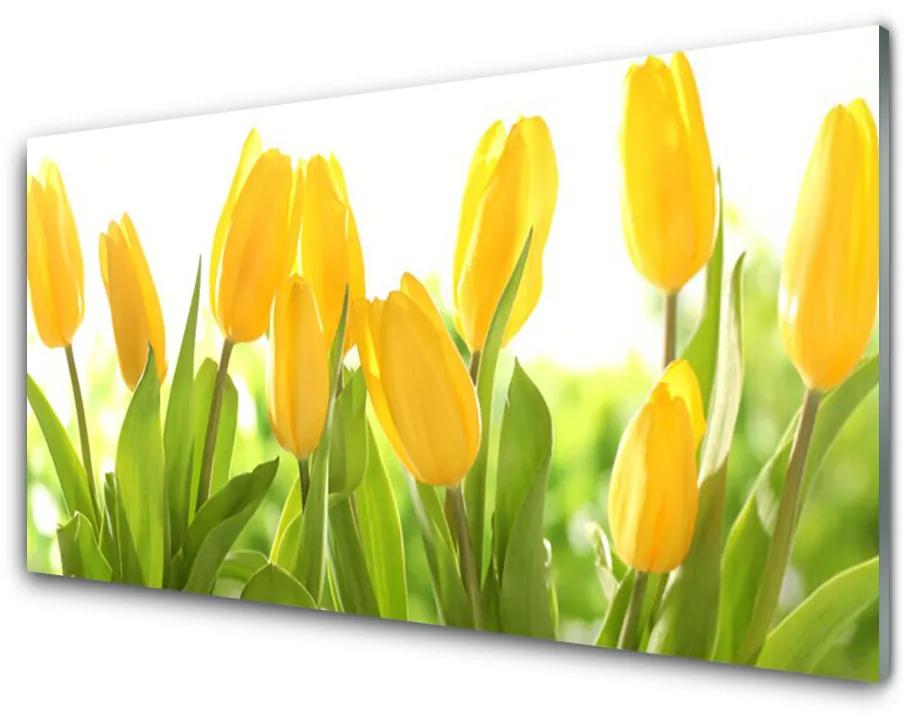 Fali üvegkép Tulipán virágok Plant 140x70 cm