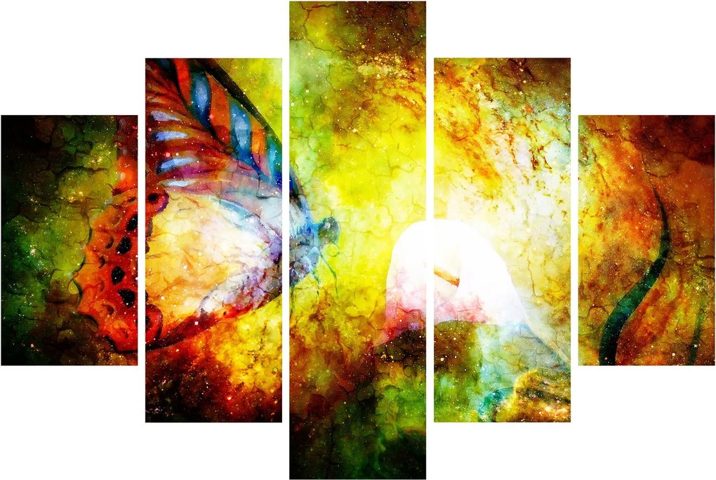 Kép - Kozmikus pillangó (150x105 cm)