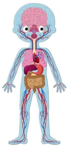 Janod - Gyerek oktató puzzle 225 db Emberi test
