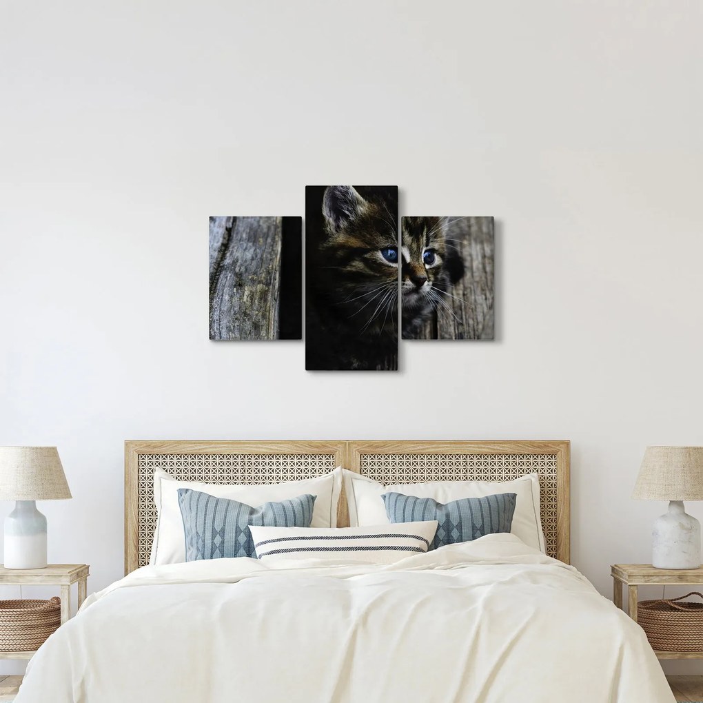 Cica képe (90x60 cm)
