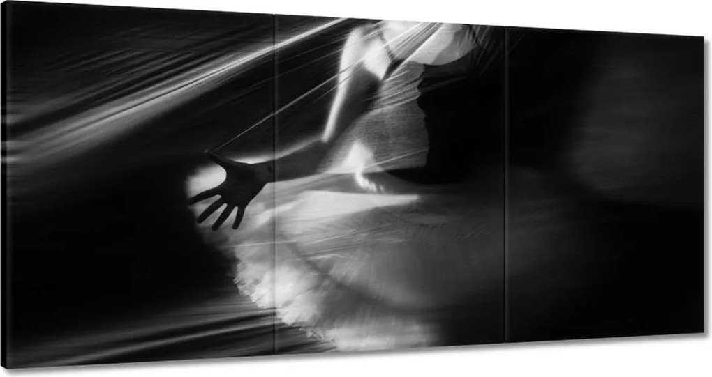 Vászonkép 180x90 Balett balerina tánc