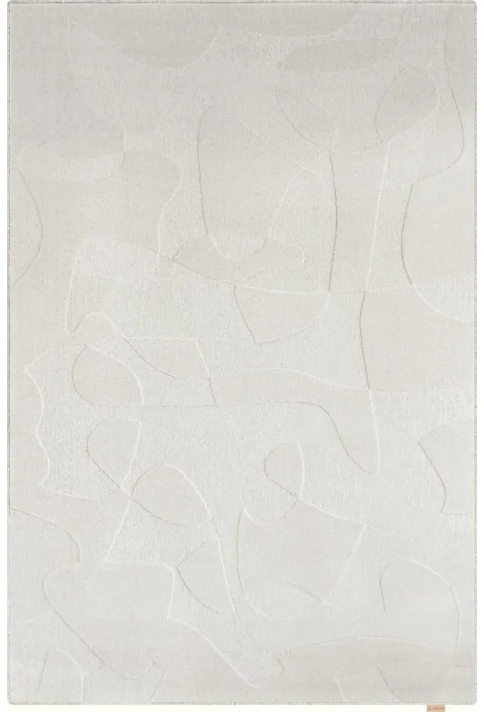 Világosszürke gyapjú szőnyeg 160x230 cm Morphic Botanica – Agnella