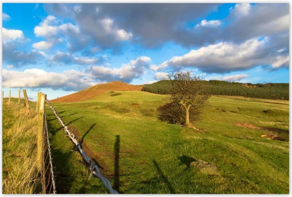 Poszterek 120x80 Tájkép réttel