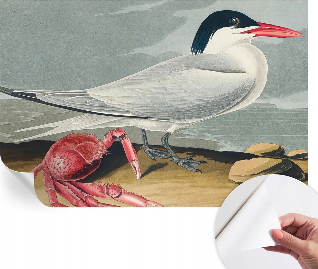 Modern öntapadós fotótapéta Mosható Tengeri táj 104x70 cm