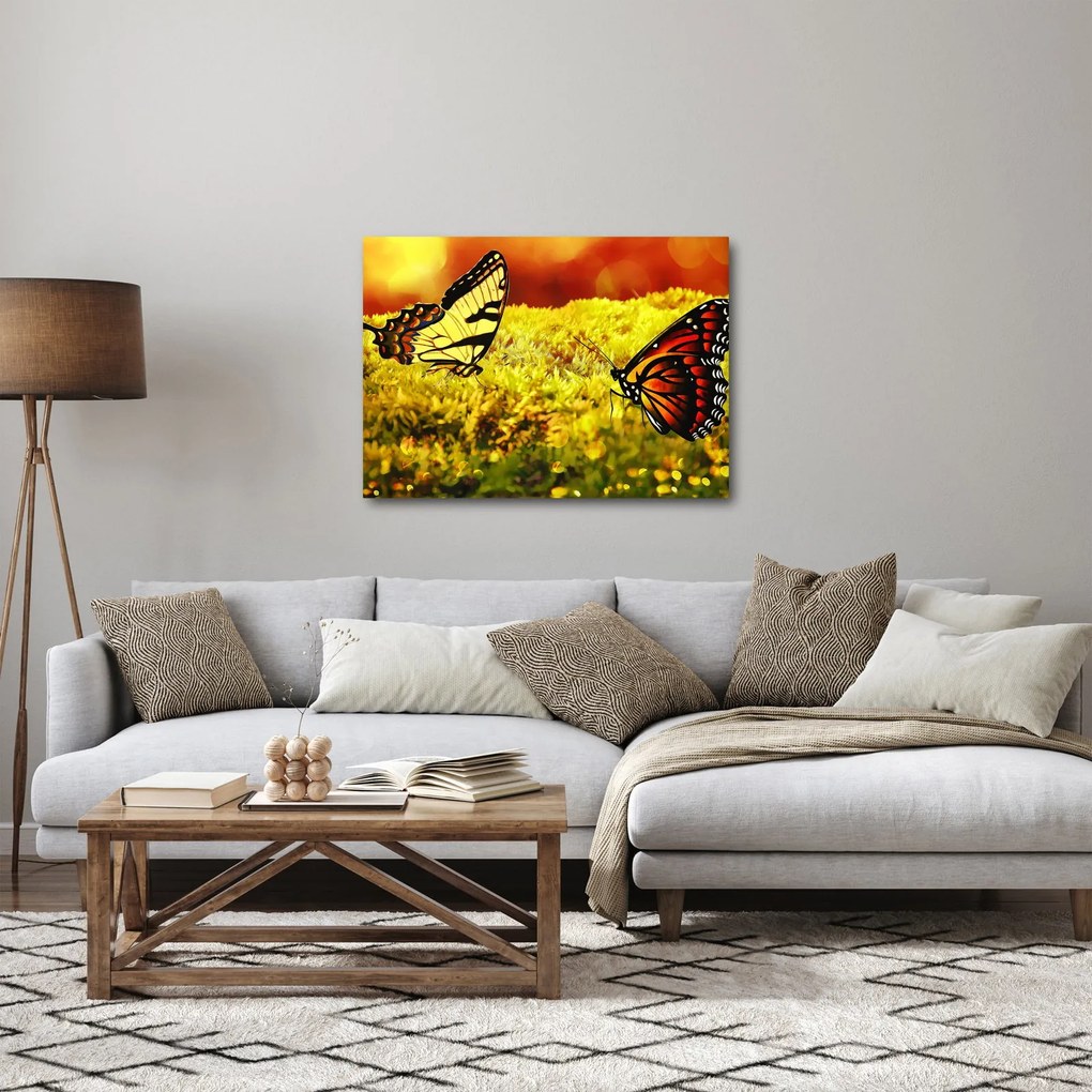 Pillangó képe (70x50 cm)