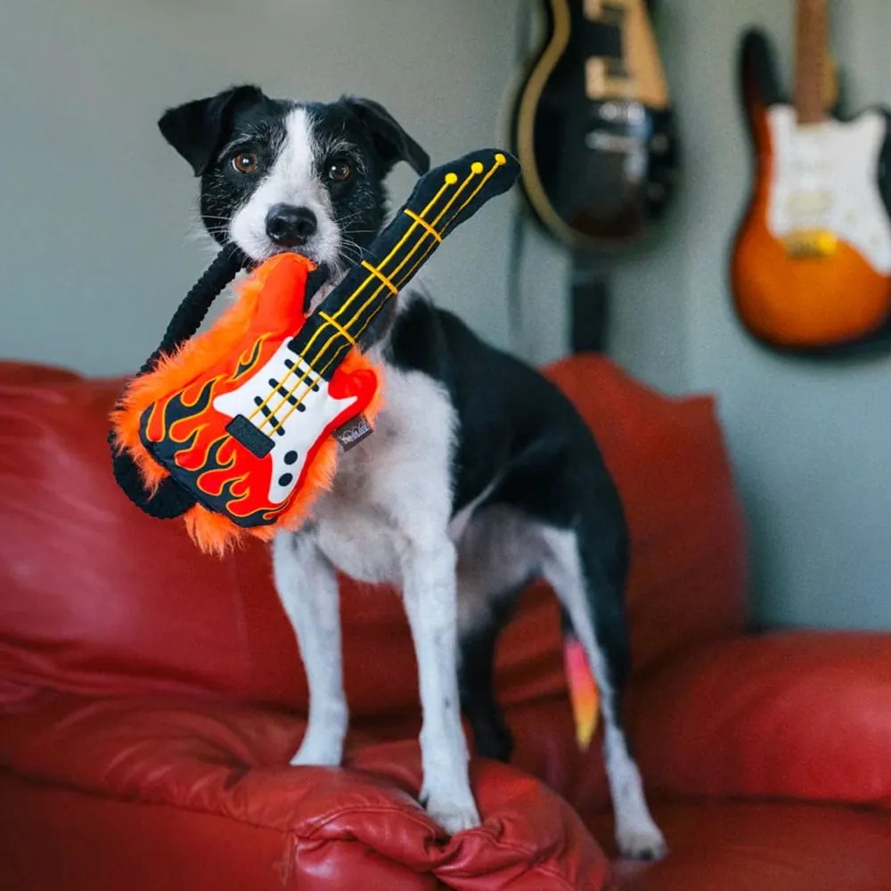 Játék kutyáknak Electric guitar – P.L.A.Y.