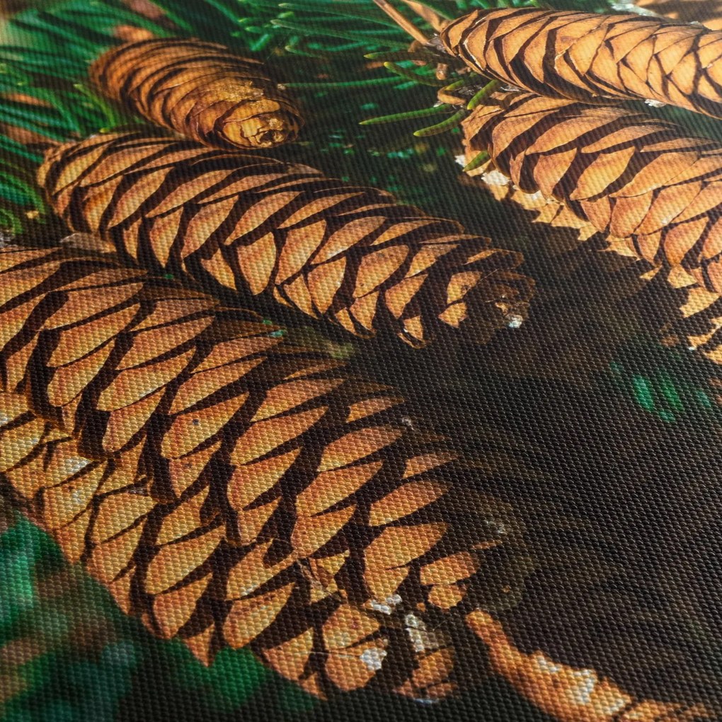 Fenyőtobozok képe (90x60 cm)