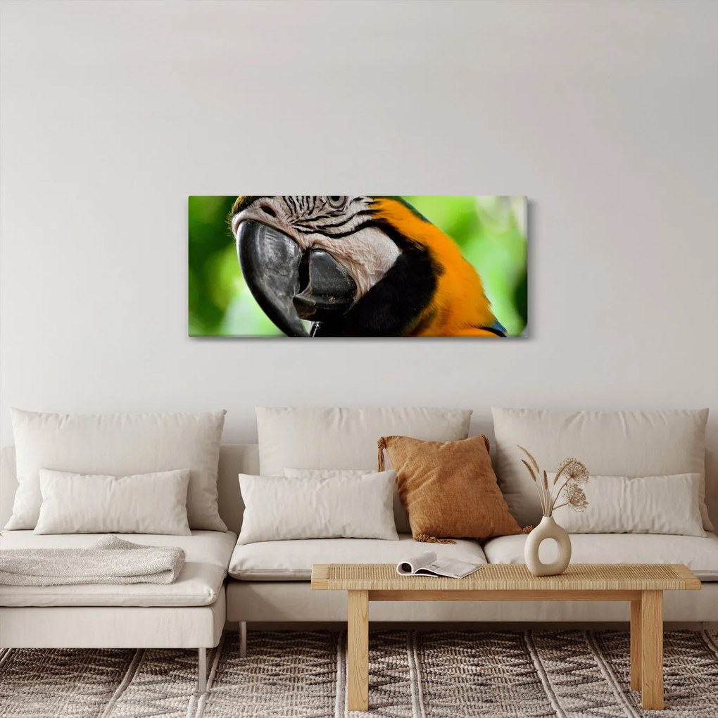 Papagáj képe (120x50 cm)