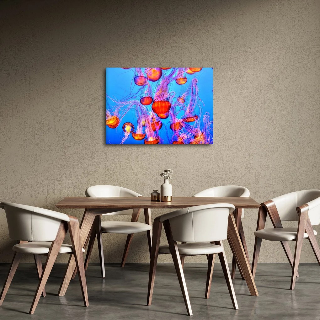 Medúza a tengerben képe (70x50 cm)