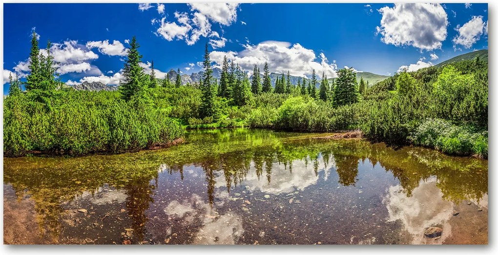 Fotótapéta üvegfalra Tó az erdőben 140x70