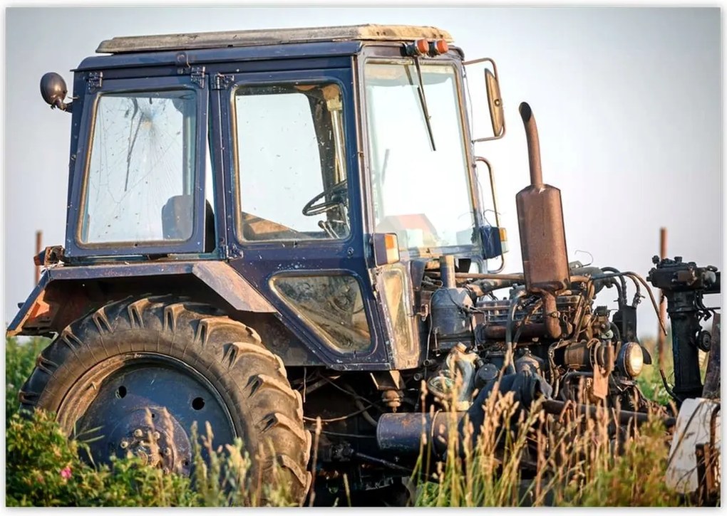Poszterek 100x70 Régi traktor a mezőn