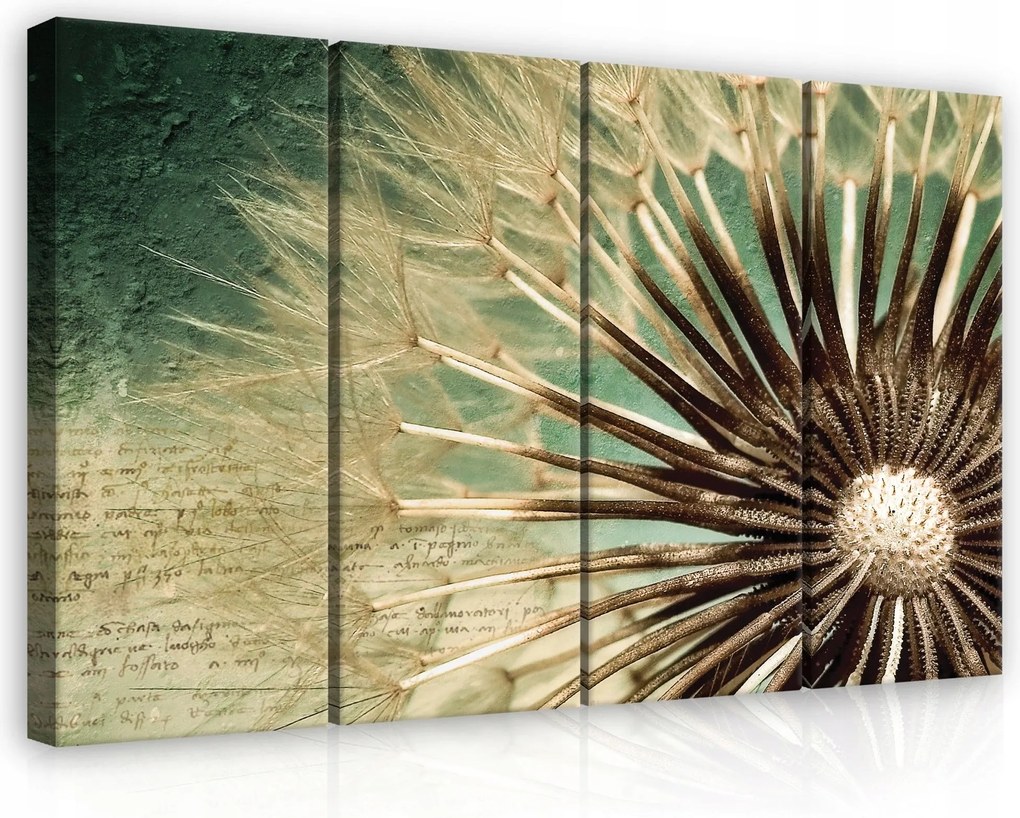 Vászonkép 120x80 Pitypang makró magok természet könnyed nyugalom alvás