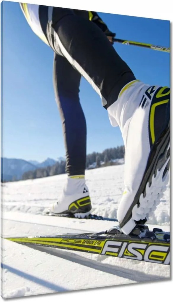 Vászonkép 80x120 Sífutás