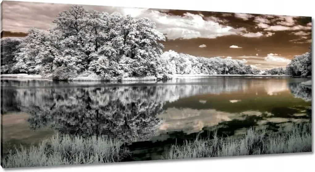 Festmények 115x55 Tájkép Infravörös Ir