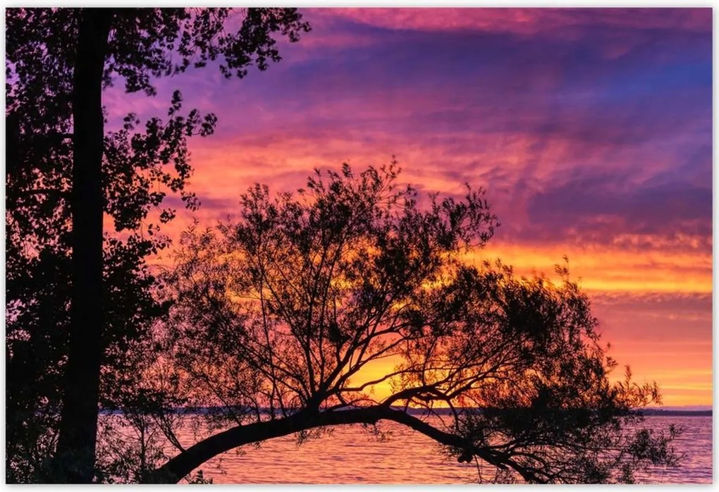 Poszterek 155x105 Tó Fa Nyugat