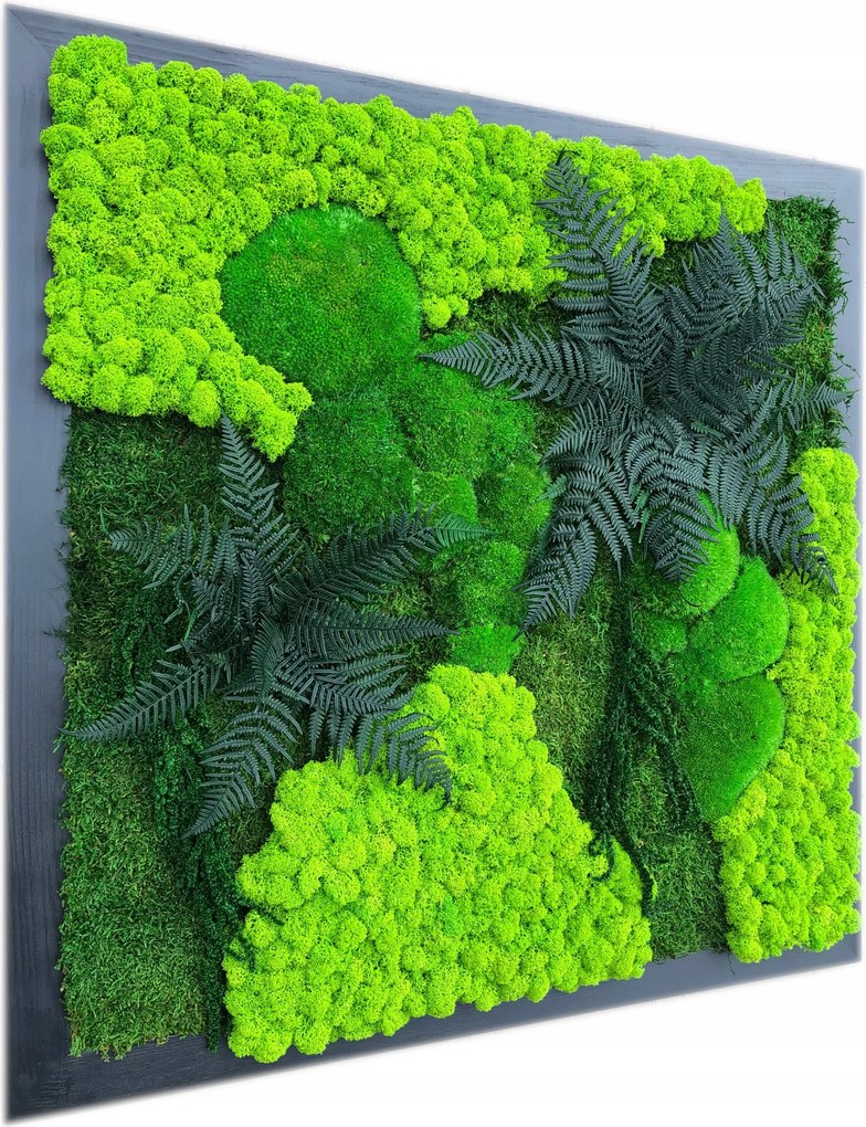 Kép mohából, stabilizált növényekből és mohából