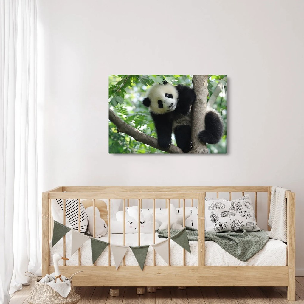 Kép - Panda a fán (90x60 cm)