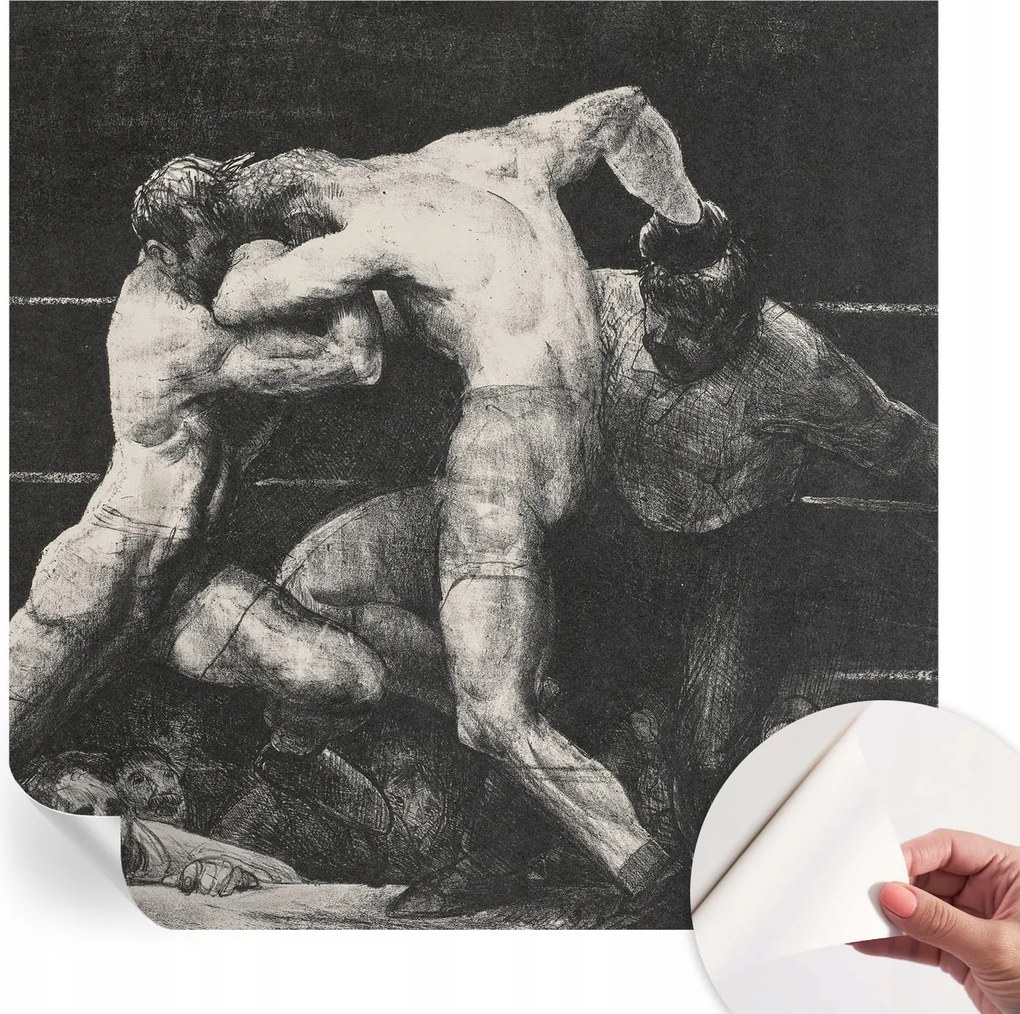 Fotótapéta Fali tapéta Hálószobába és Nappaliba Boxer párbaj 250x250