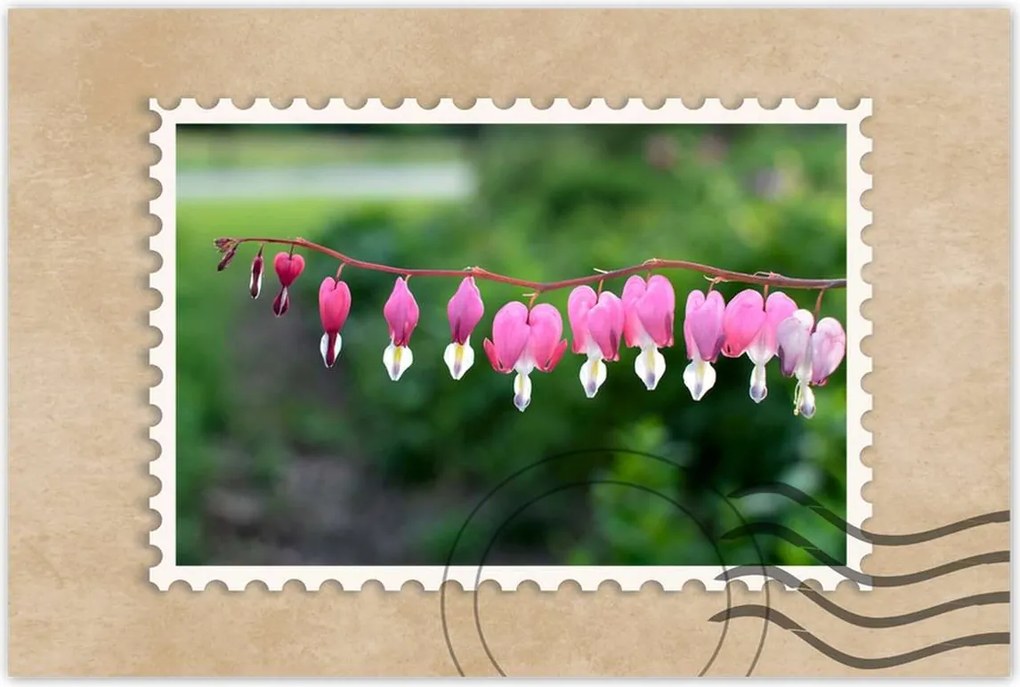 Poszterek 90x60 Mária szíve