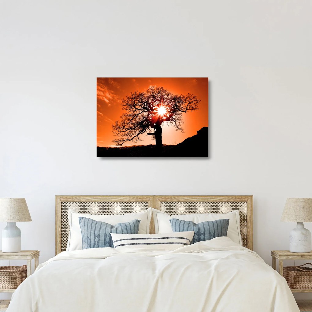 Kép - Tölgy napnyugtakor (üvegen) (70x50 cm)