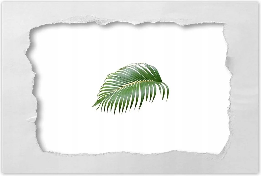 Poszterek 60x40 Zöld levél Minimalizmus