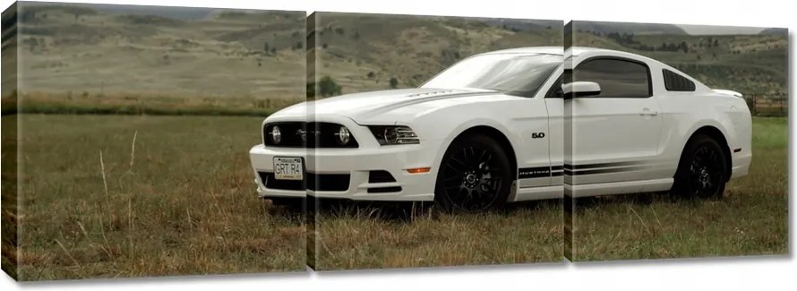 Vászonkép 150x50 Fehér Ford Mustang