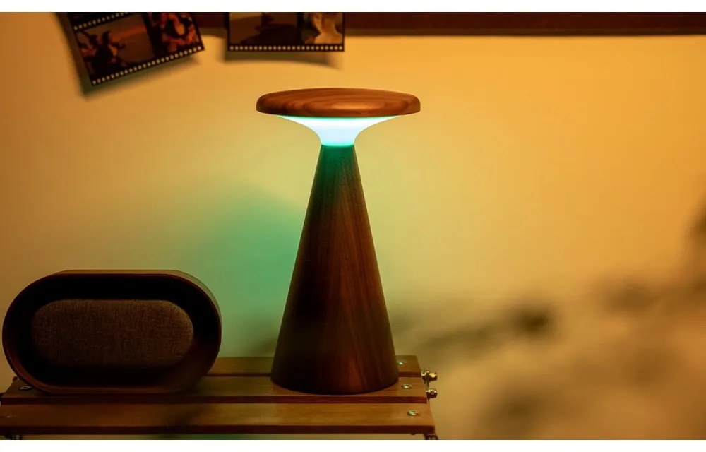 Sötét natúr színű LED asztali lámpa fa búrával (magasság 21 cm) Sylva – Gingko