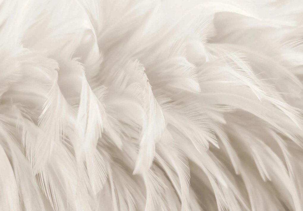 Fotótapéta flizelin toll 3D hatás gyönyörű kompozíció ragasztó ingyen