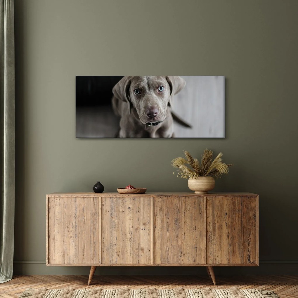 Kiskutya képe (120x50 cm)