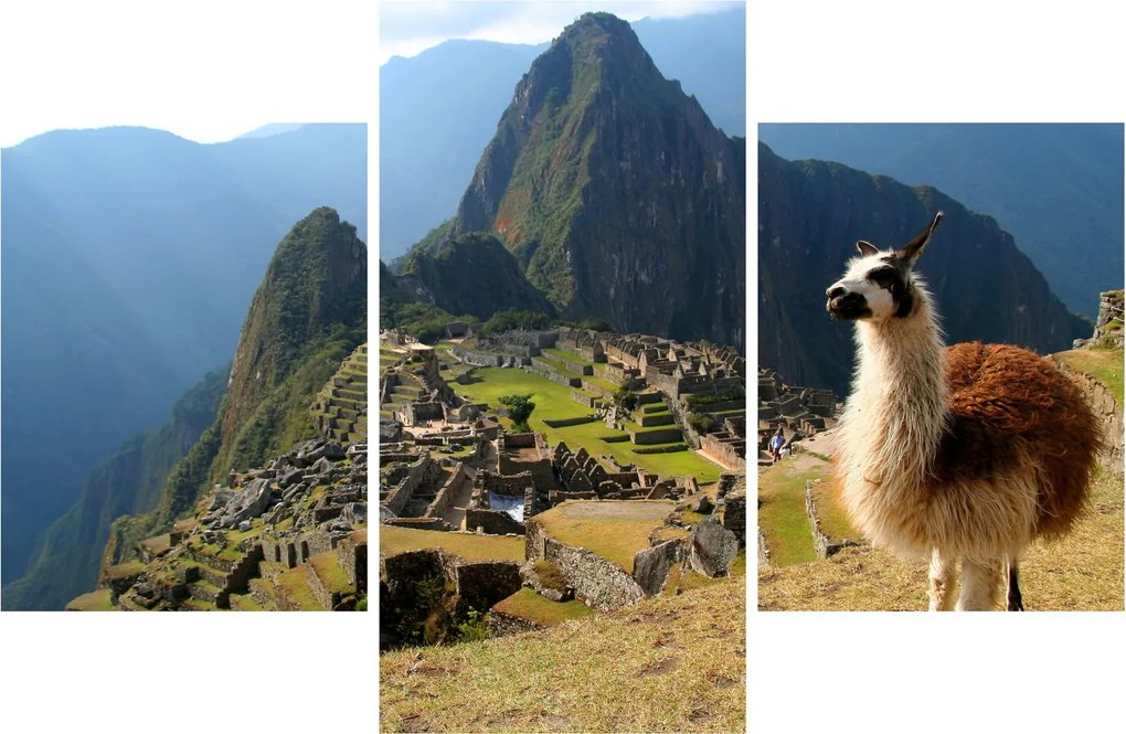 Kép - Láma és Machu Picchu (90x60 cm)