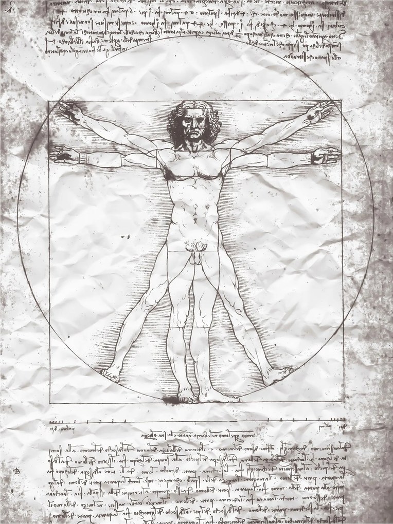 Fotótapéta Vitruvius ember Da Vinci remekmű 206x275 +ragasztó