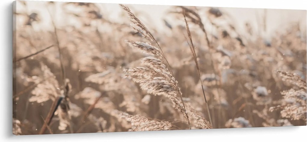 Kép - Réti szellő (120x50 cm)