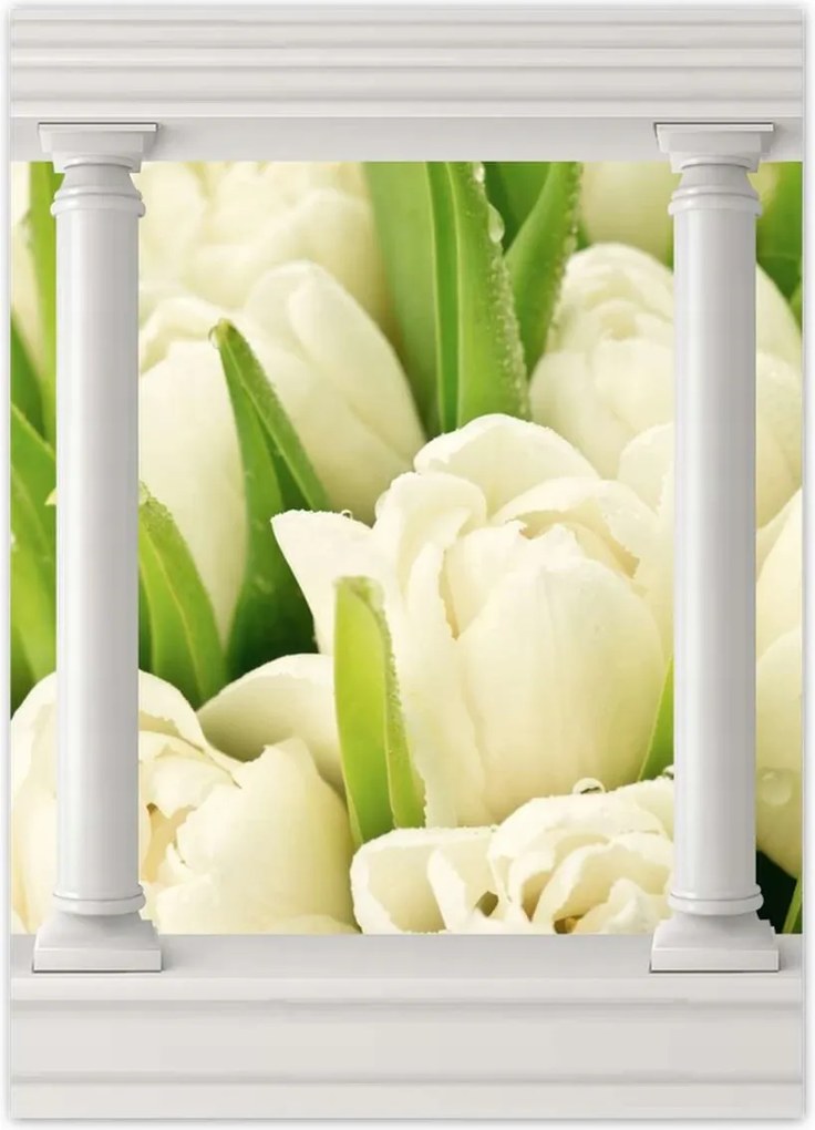 Poszterek 50x70 Finom tulipánok
