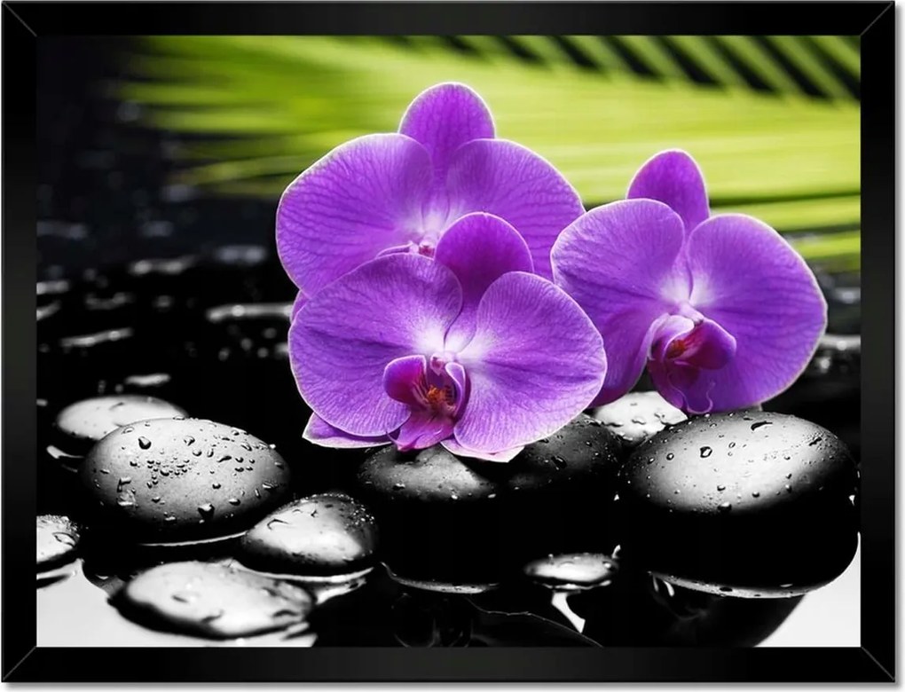 Poszterek keretben 40x30 Lila orchideák