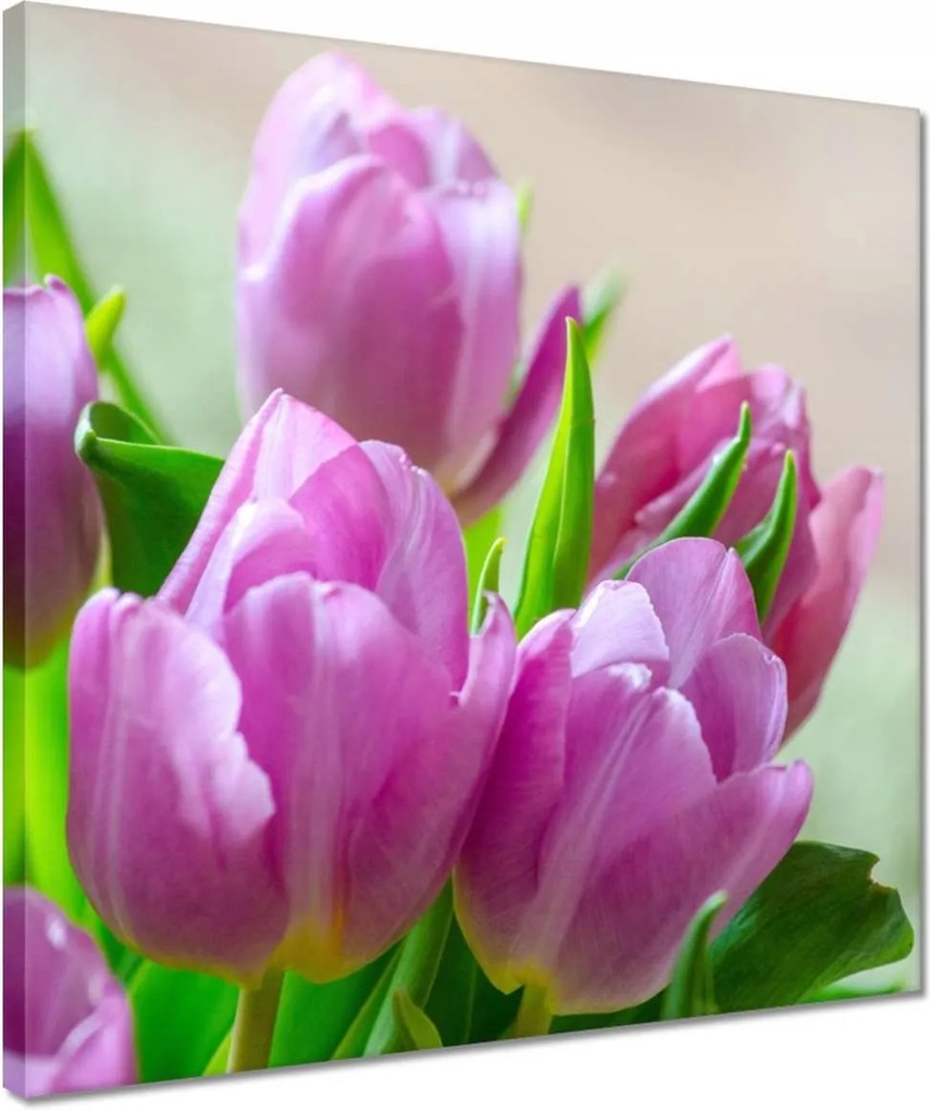 Vászonkép 40x40 Tulipánok Virágok