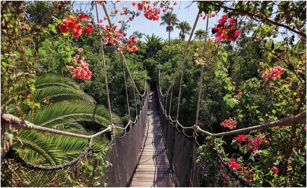 Fotótapéta Dzsungel Trópusi erdő móló 416x254