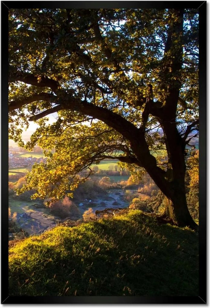 Poszterek keretben 40x60 Kilátás a völgyre