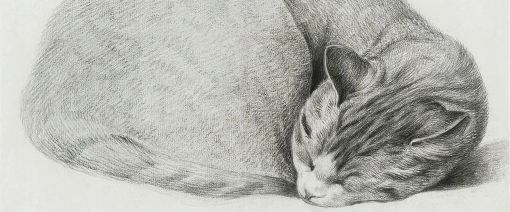 Divatos Flizelin Tapéta Ragasztóval Fali 3D Összecsukható macska 250x104 Ragasztó