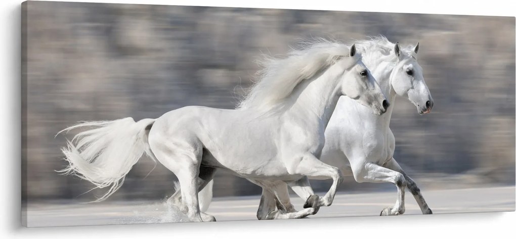 Kép - Fehér lovak télen (120x50 cm)