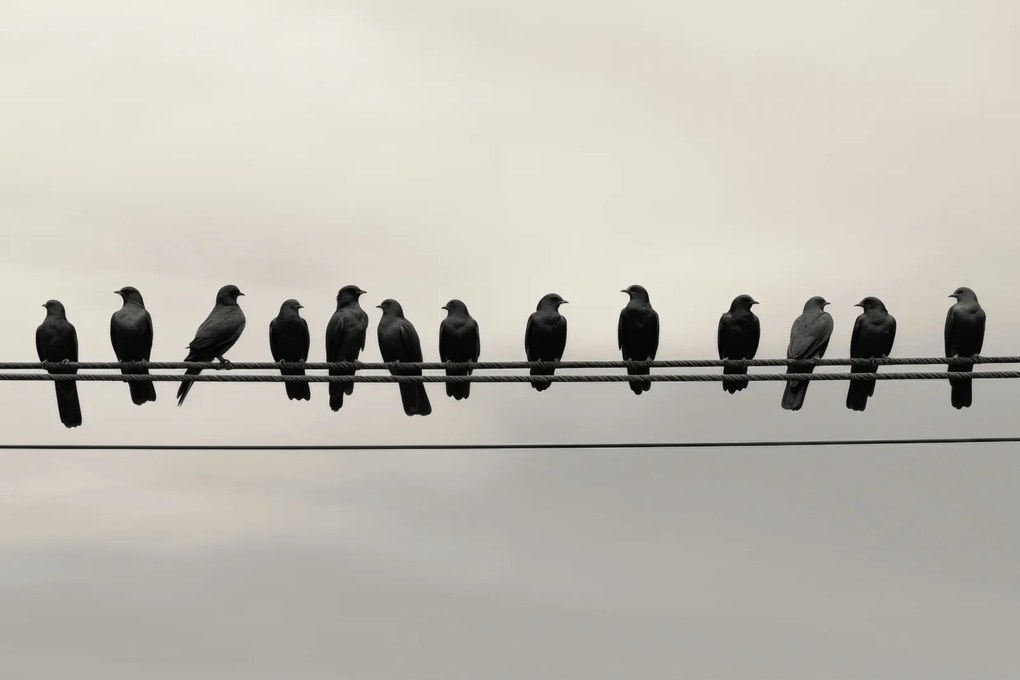 Poszter 30x20cm Konferencia a Magasságban