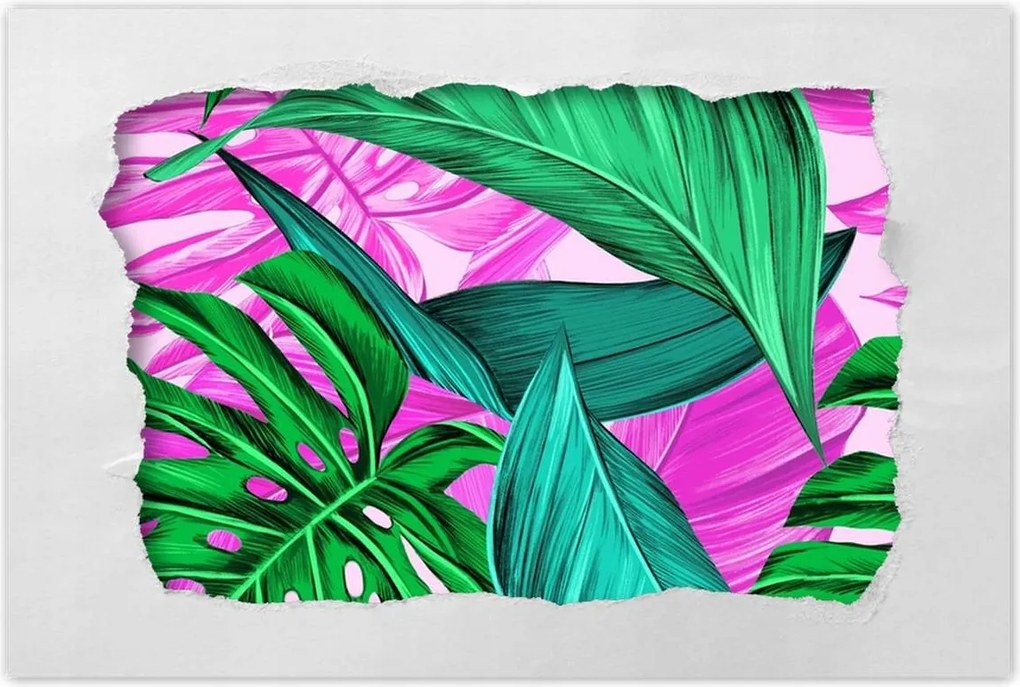 Poszter 60x40 Levelek Monstery Trópusok