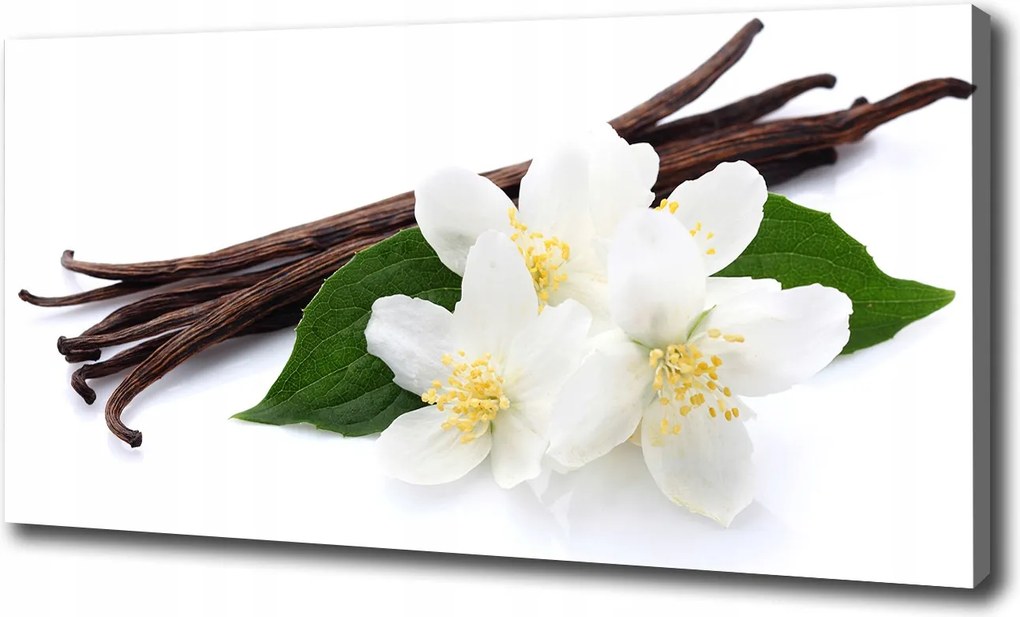 Vászonkép Jázmin és vanília 120x60 cm