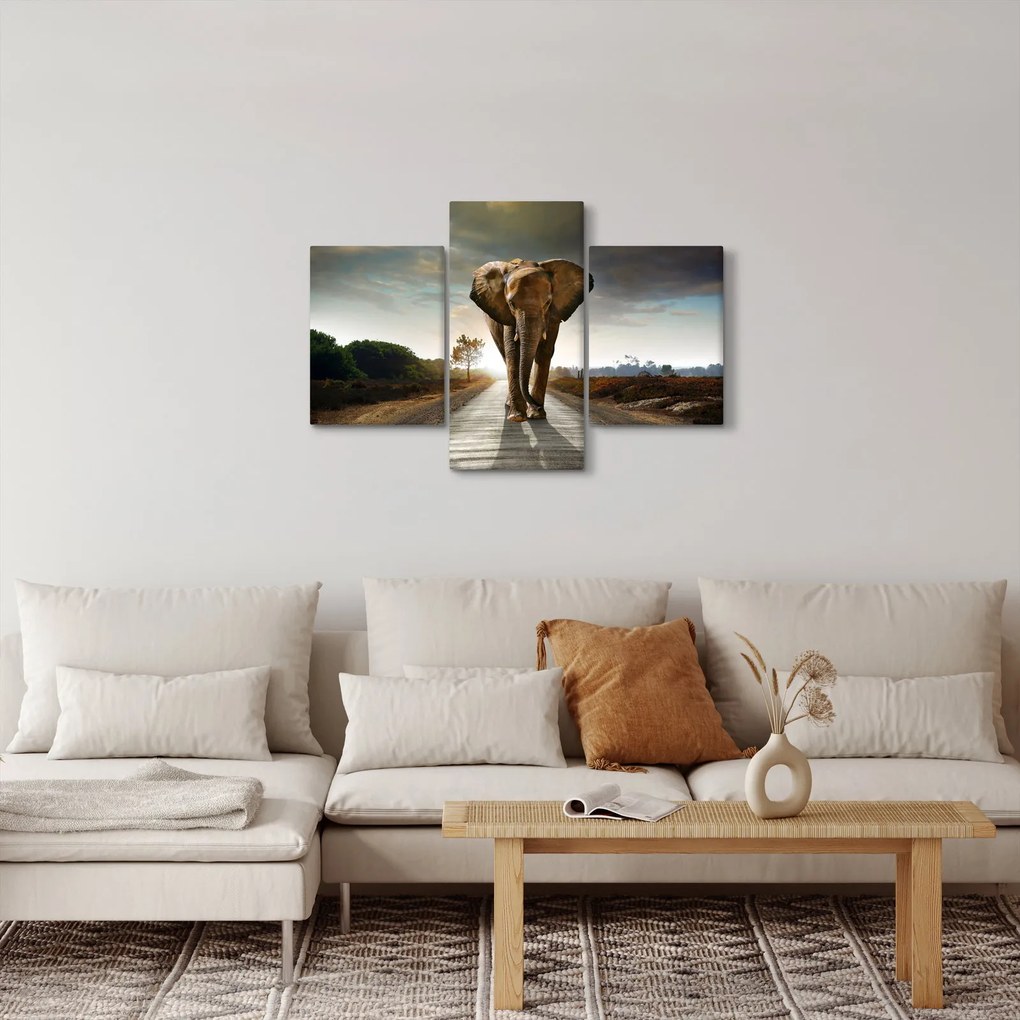 Elefánt képe (90x60 cm)