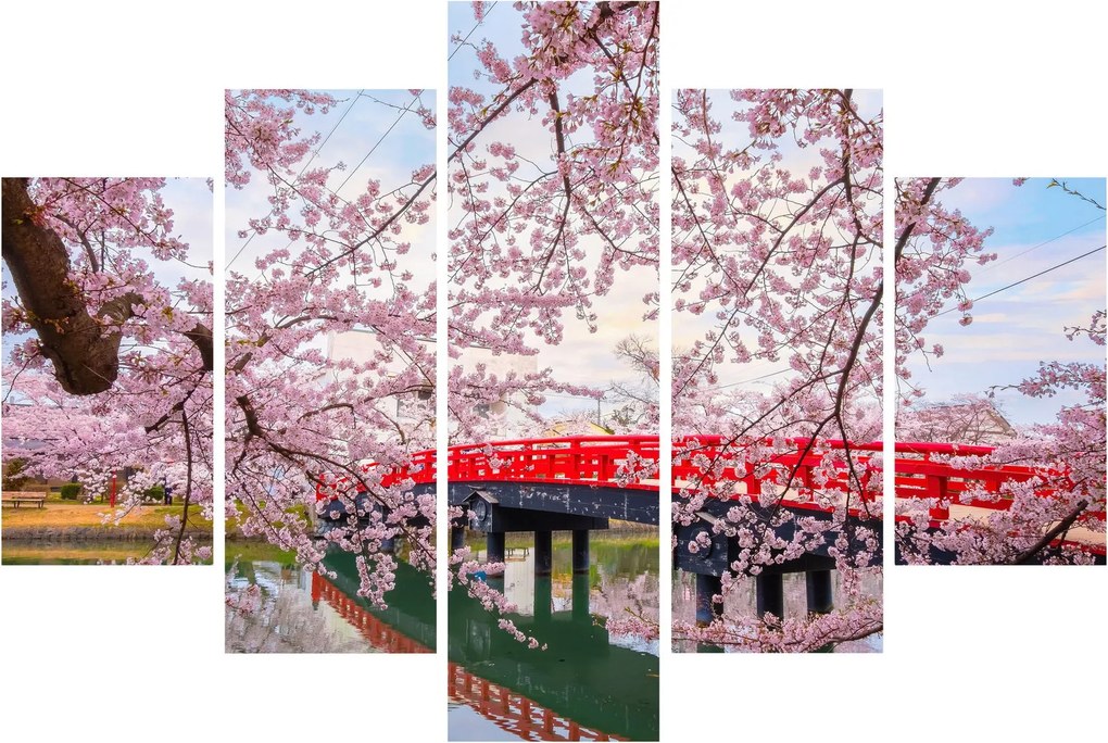 Kép - Hirosaki, Japán (150x105 cm)
