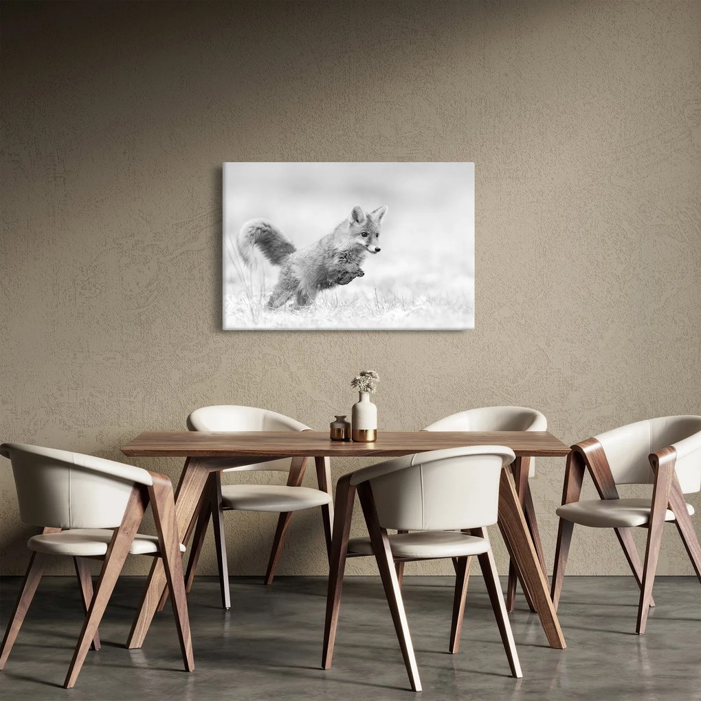 Kép - Ugró róka, fekete-fehér (90x60 cm)
