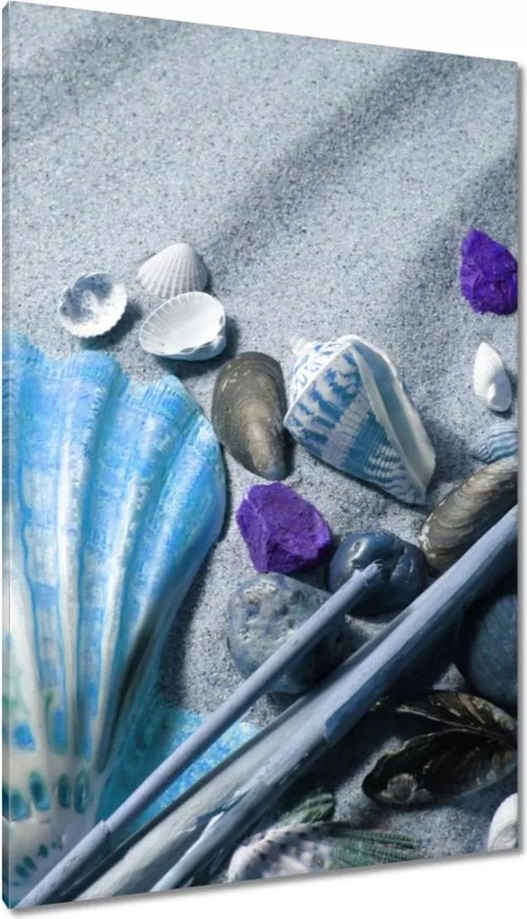 Vászonkép 80x120 Kompozíció kagylóval