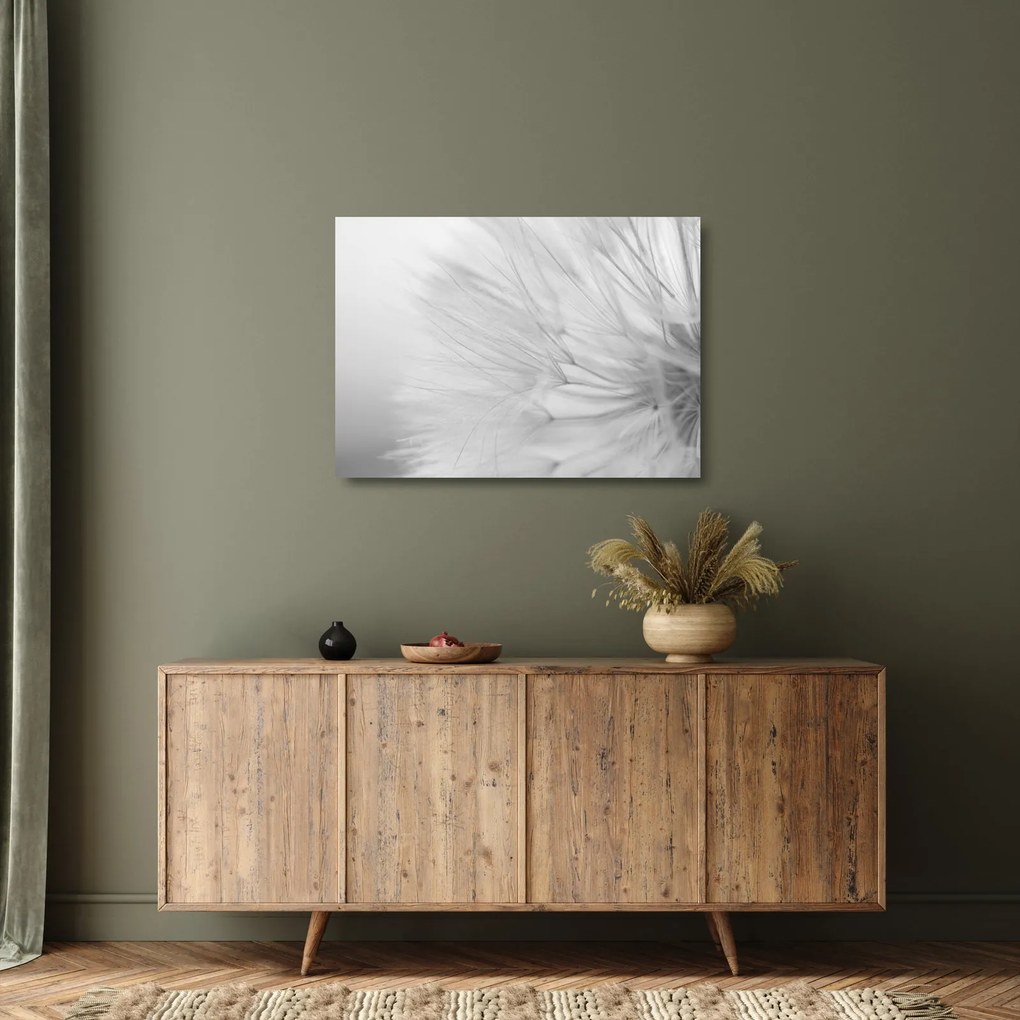 Üveg kép - Pitypang (70x50 cm)