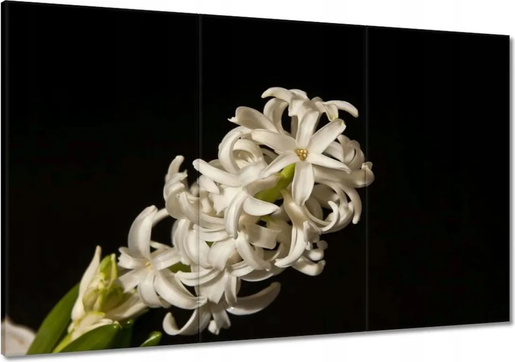 Vászonkép 120x80 Fehér virág