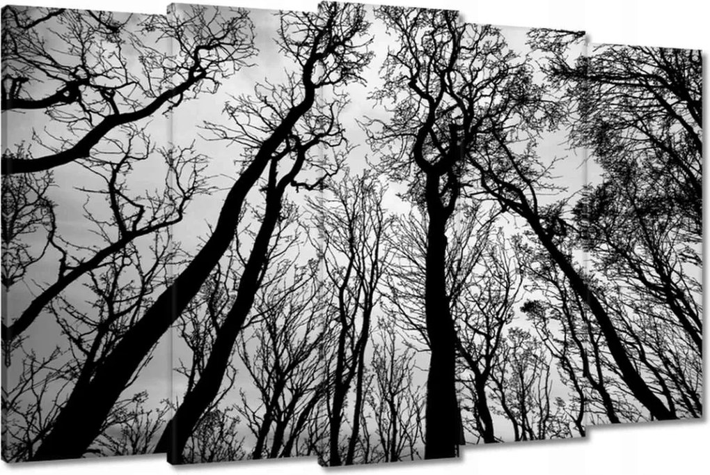 Festmények 150x95 Erdő Fák Kilátás alulról